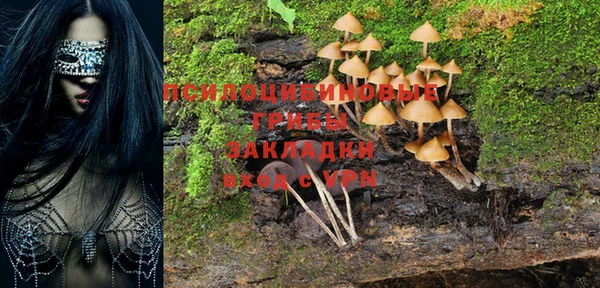 спайс Балахна